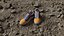 VansVaultOld Skool Multicolor Shoes