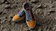 VansVaultOld Skool Multicolor Shoes