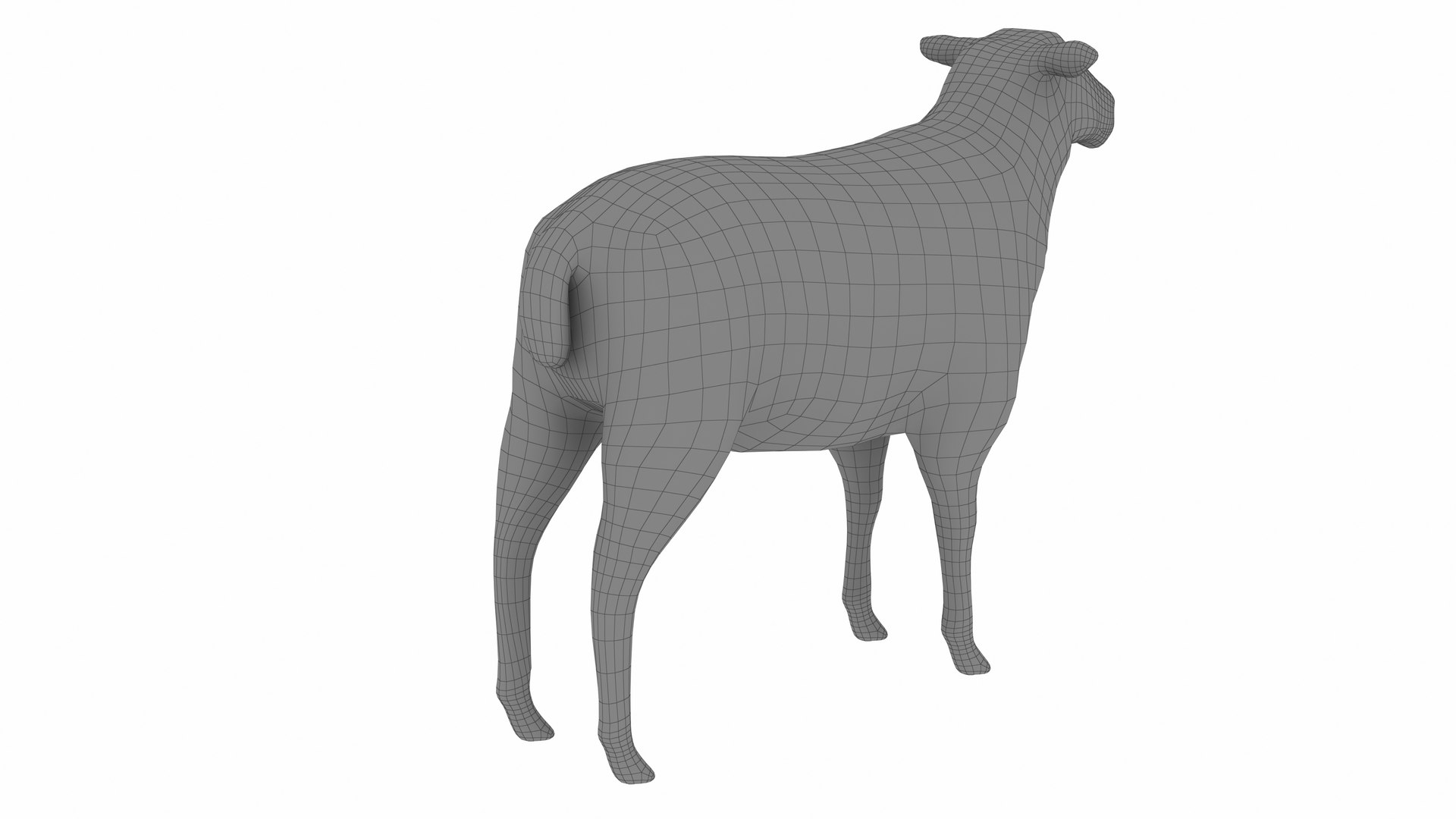 3D Model Sheep 2 - TurboSquid 2343305