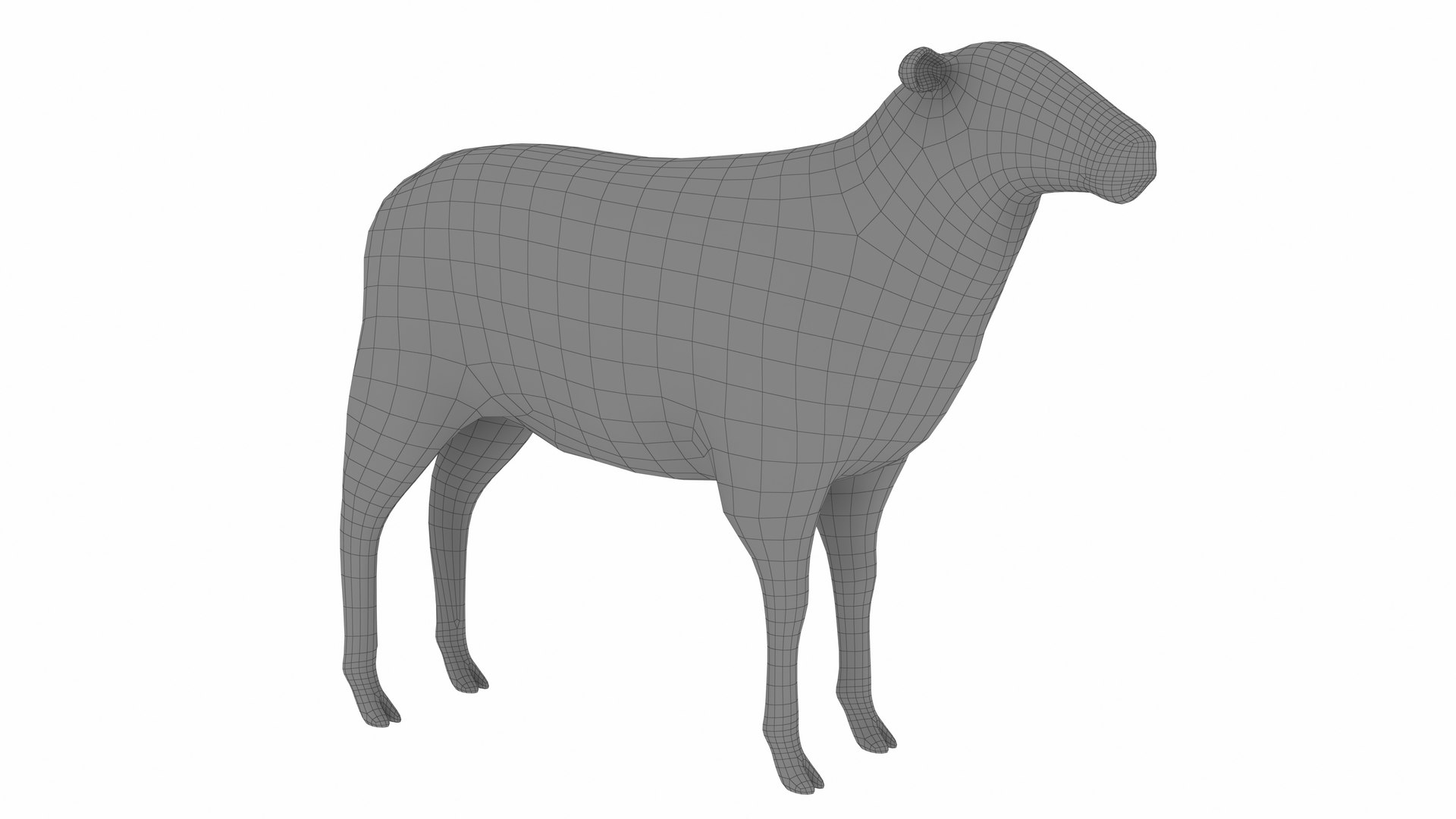 3D Model Sheep 2 - TurboSquid 2343305