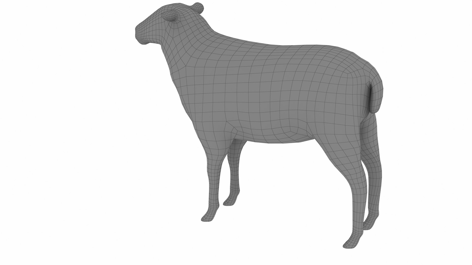 3D Model Sheep 2 - TurboSquid 2343305