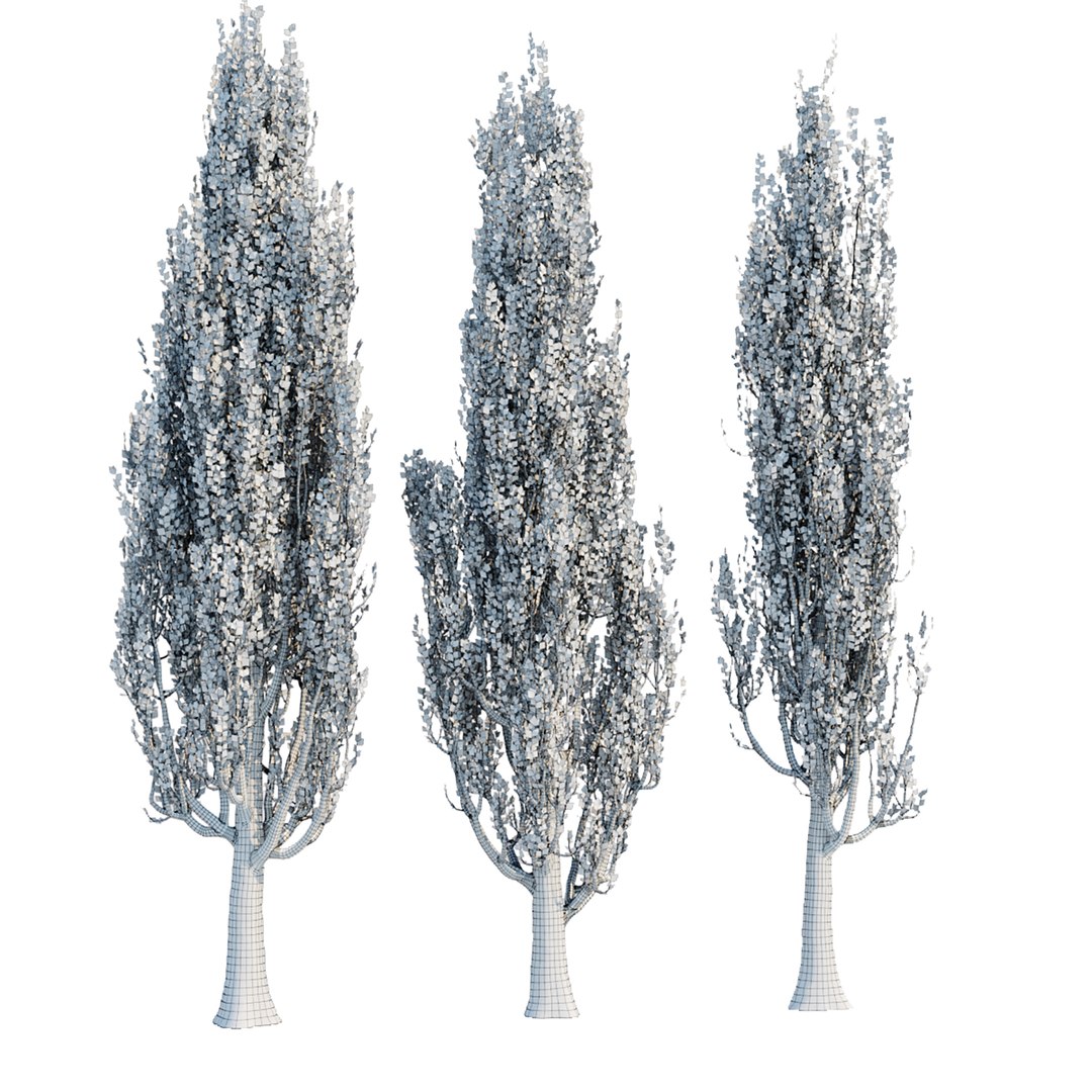 3D poplar trees collection vol 76 https://p.turbosquid.com/ts-thumb/OB/M1ES36/0v/5/jpg/1663494841/1920x1080/fit_q87/df2ff47e50420f588b64850cf83998406652e9f8/5.jpg
