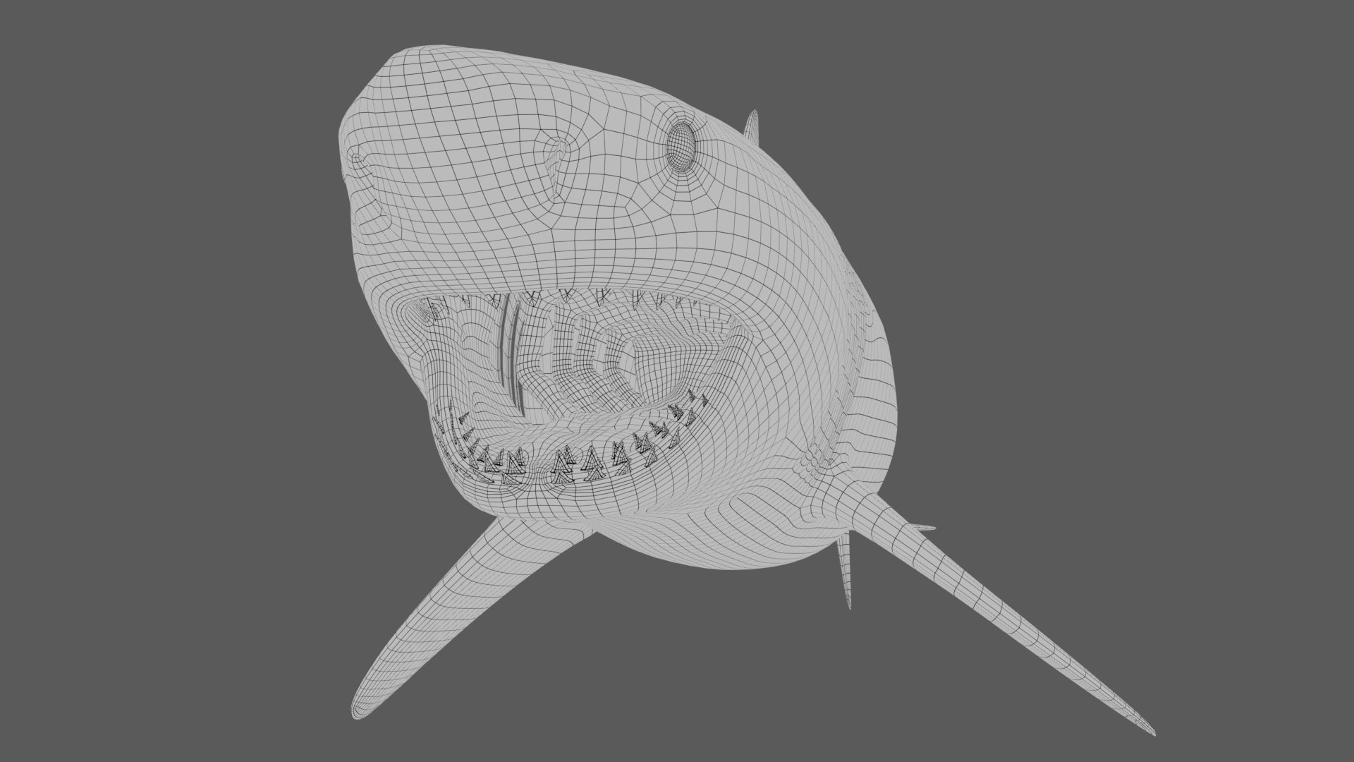 3D great white shark animation sea https://p.turbosquid.com/ts-thumb/OB/Tdu3J1/F6y7DJdG/w3/jpg/1597580745/1920x1080/fit_q87/57db3e2eed8d43284a8a74dde3da9b683554a29c/w3.jpg