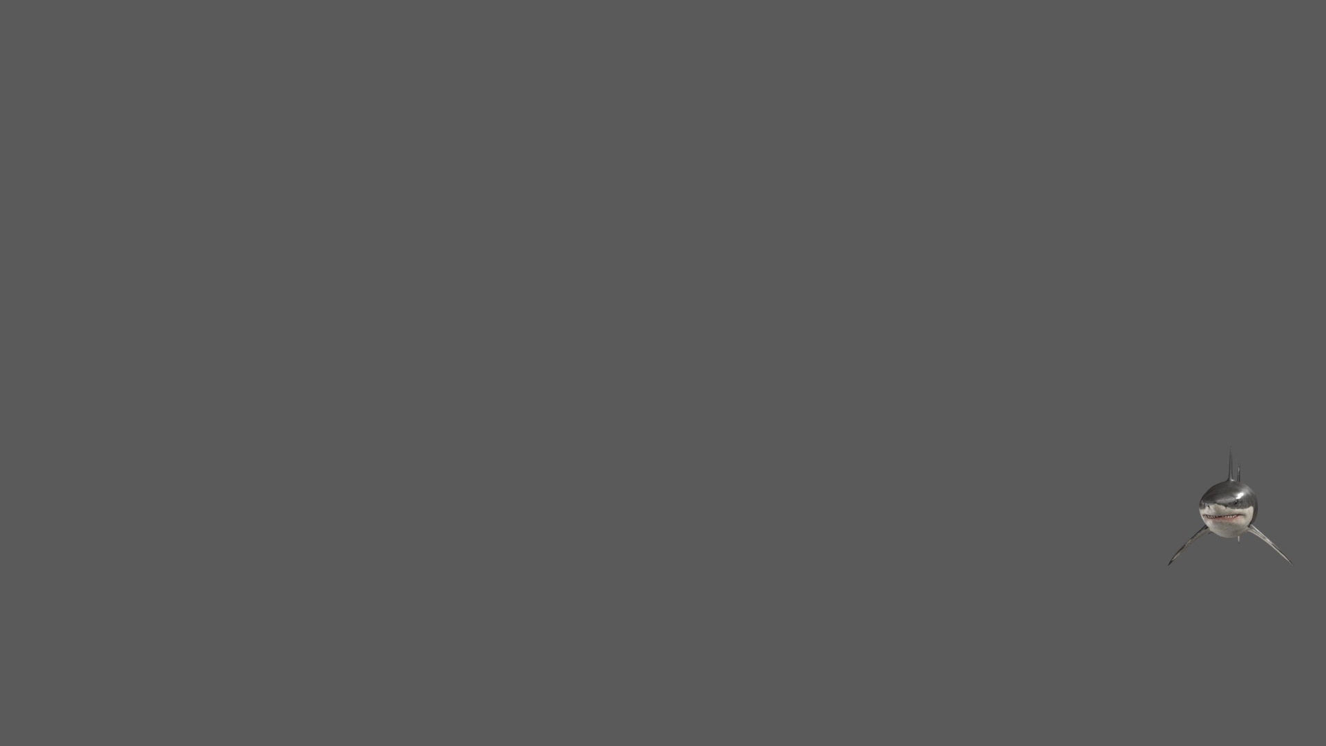 3D great white shark animation sea https://p.turbosquid.com/ts-thumb/OB/Tdu3J1/lJti7BzP/greatwhiteshark_a_swim2/jpg/1597571797/1920x1080/turn_fit_q99/b08cd9ddec00ce00413a0ba261125830ce0b6014/greatwhiteshark_a_swim2-1.jpg