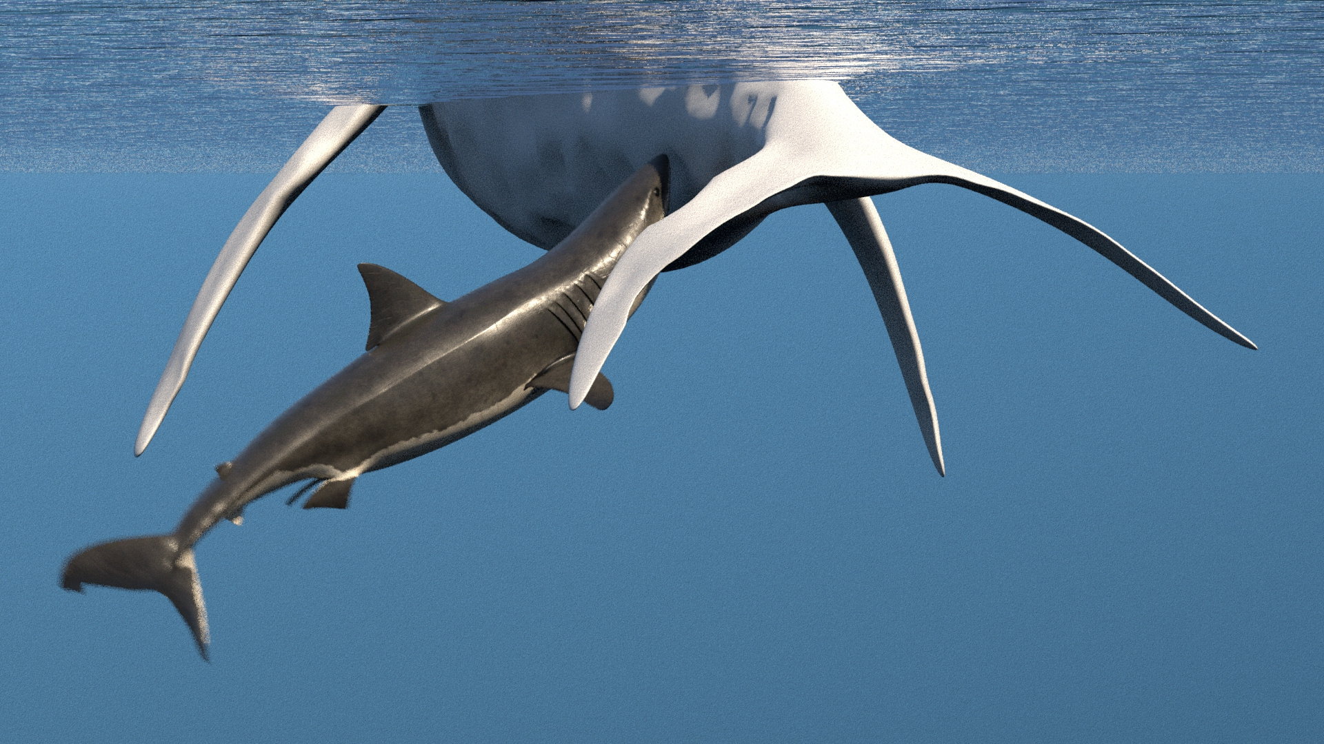 6 Rig Shark Fishing Images, Stock Photos, 3D objects, & Vectors