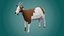 Lowpoly stylized DOMESTIC animals pack 3D