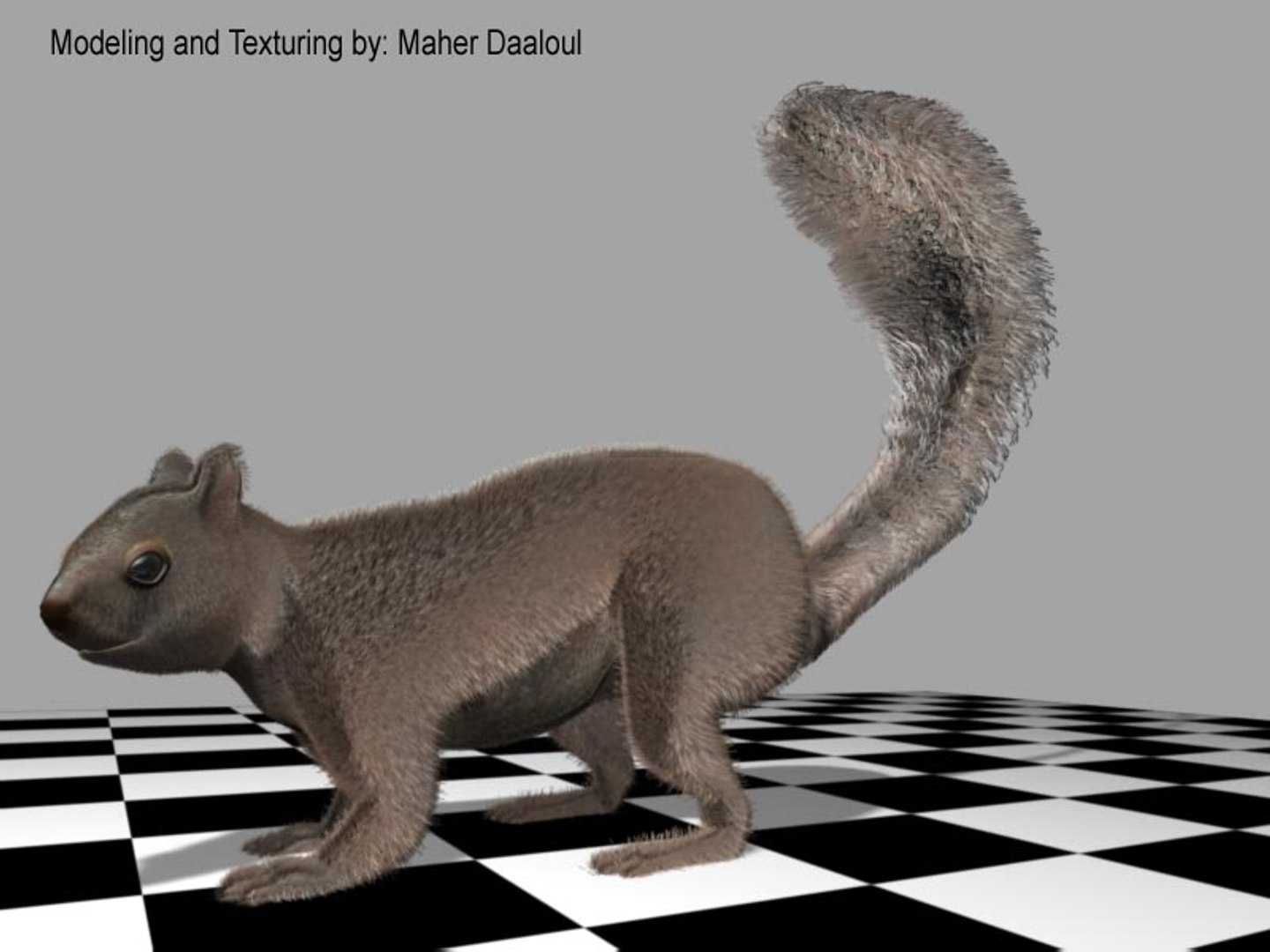 3d Squirrel Model