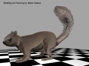 3d squirrel model