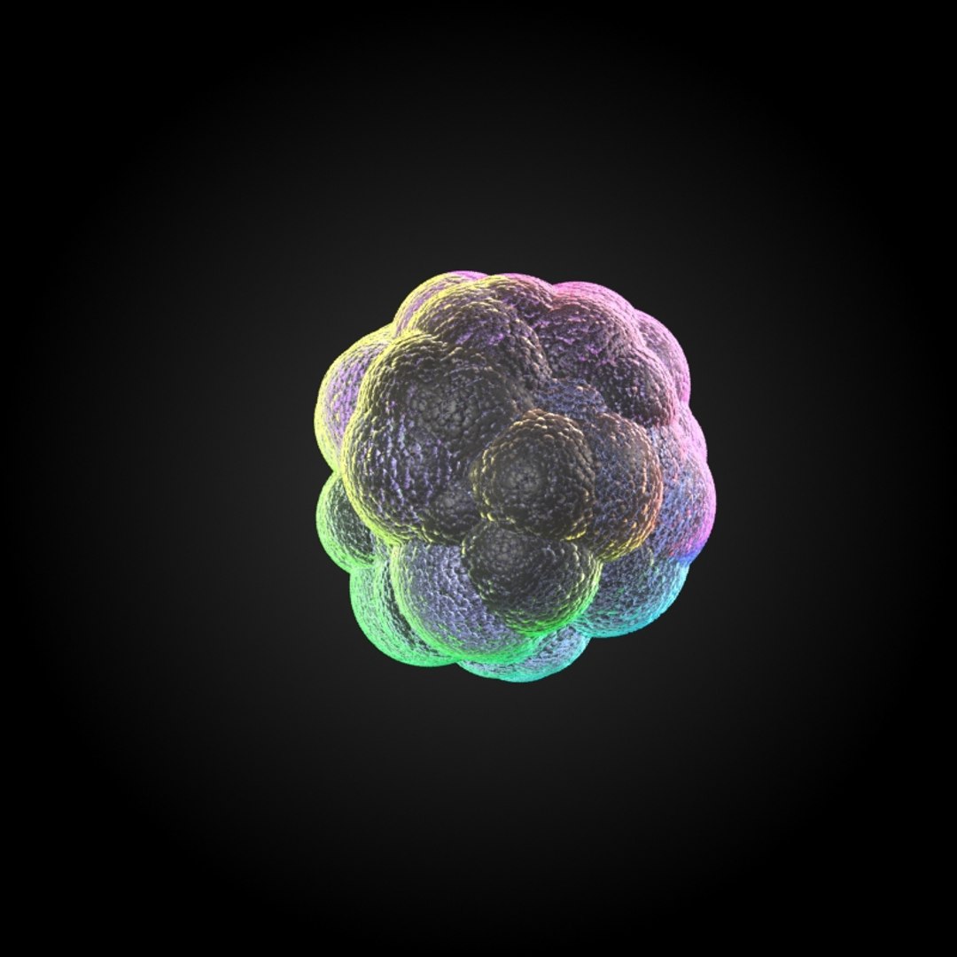 3d model 25 microbes micro sets