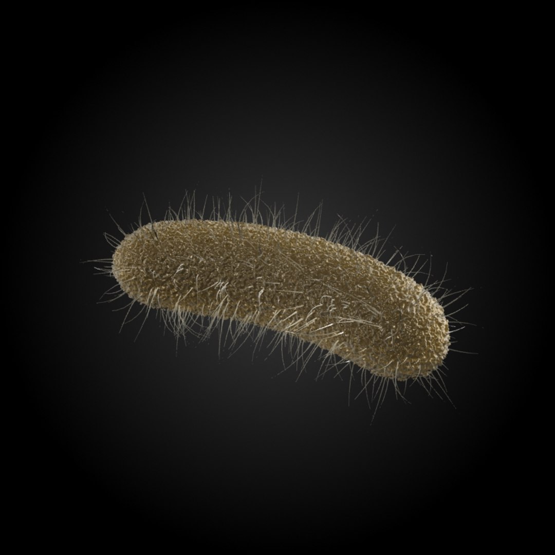 3d Model 25 Microbes Micro Sets