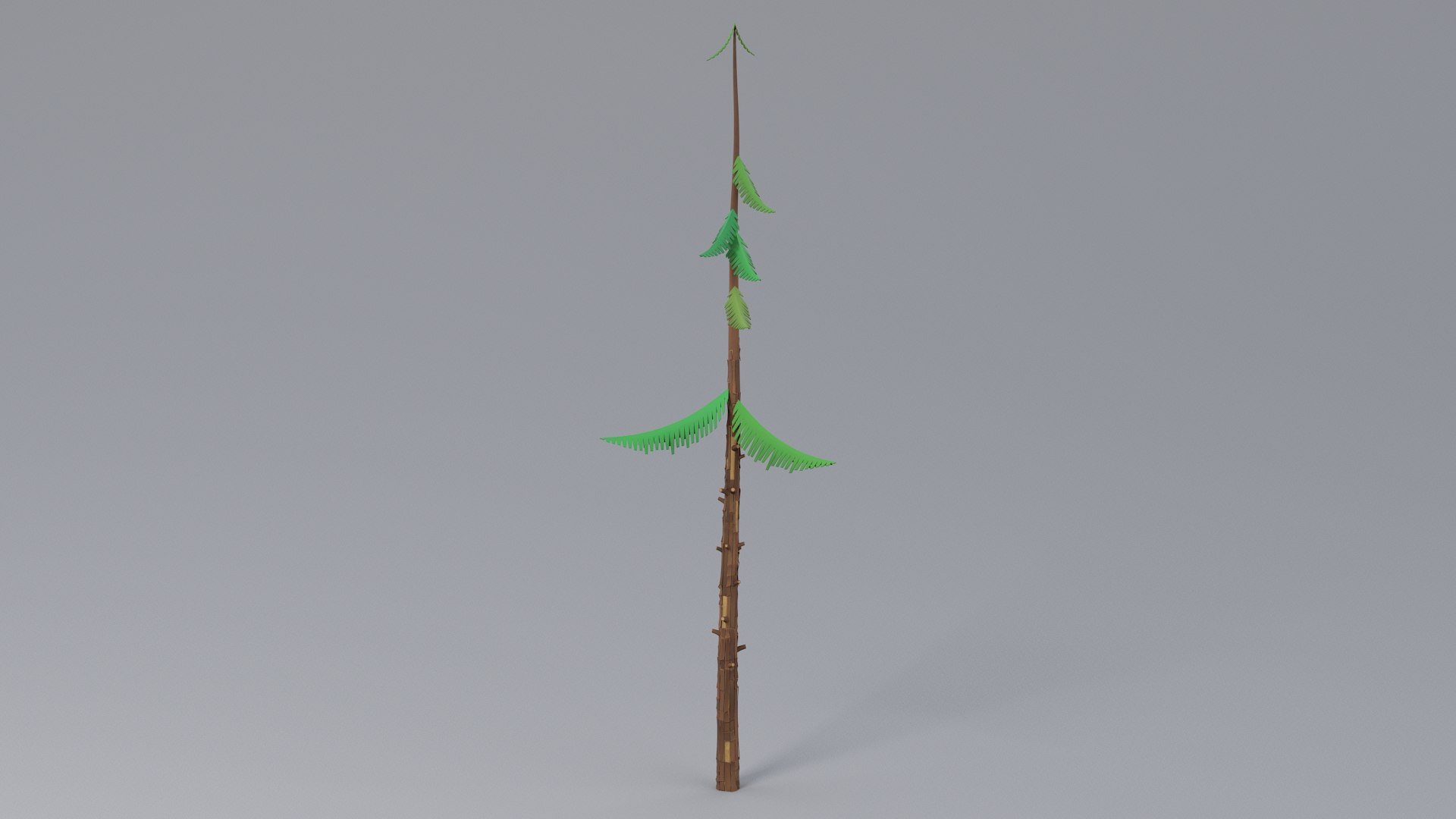 Cartoon Trees Bundle 3D model https://p.turbosquid.com/ts-thumb/OB/sW78a3/2r/pine_j_02/jpg/1789635439/1920x1080/fit_q87/a1d52e905f44915e5a3421c96720e2e30d2ba928/pine_j_02.jpg