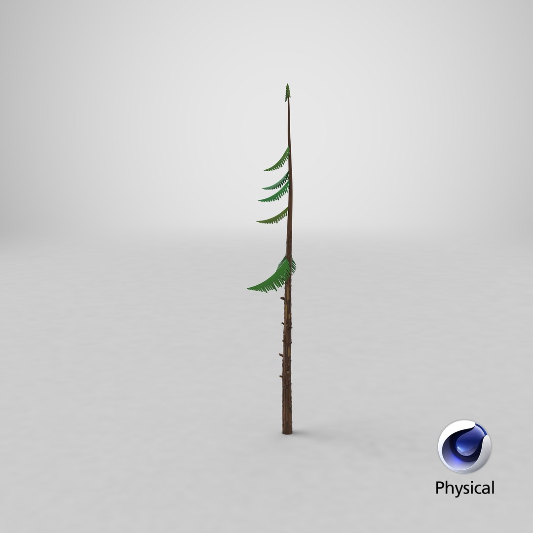 3D Cartoon Pine 10 https://p.turbosquid.com/ts-thumb/OB/sW78a3/2y/stemcell_cinema_4d_physical_render/png/1661453020/1920x1080/fit_q87/7ca1df1dc803c557a1ad91c32db5a8203e825ae2/stemcell_cinema_4d_physical_render.jpg