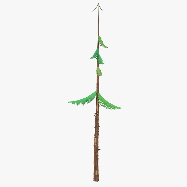 3D Cartoon Pine 10 TurboSquid 1949320