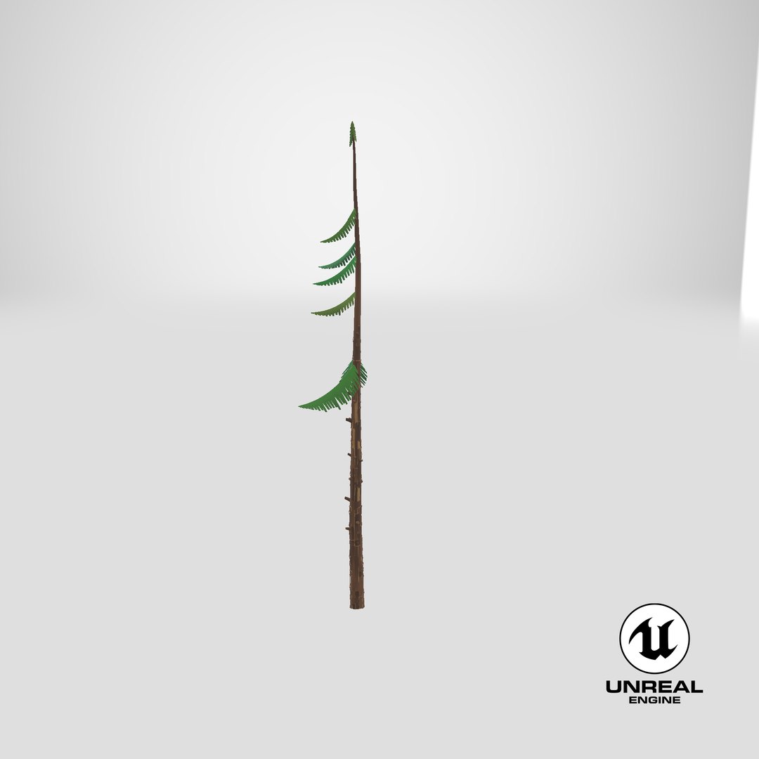 3D Cartoon Pine 10 https://p.turbosquid.com/ts-thumb/OB/sW78a3/Tk/stemcell_unreal_render/png/1661453025/1920x1080/fit_q87/fad78d01c5e6c052ce0f7cdb3fefec4bd6bcb525/stemcell_unreal_render.jpg