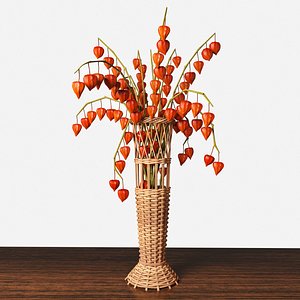 Wicker vase with physalis