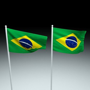 brazil flag model