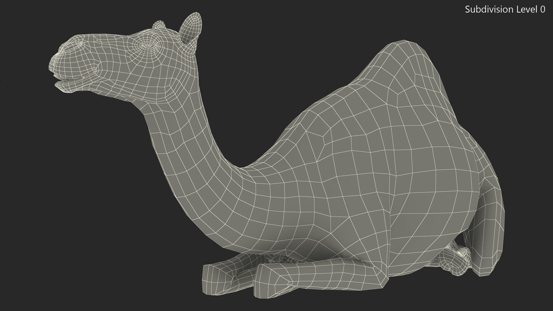 Resting Camel with Fur 3D model https://p.turbosquid.com/ts-thumb/OC/LGMrbu/U4/resting_camel_with_fur_015/jpg/1744322366/1920x1080/fit_q87/3bdb50066141c0fd1a37fac50505feaa05a2cc7e/resting_camel_with_fur_015.jpg