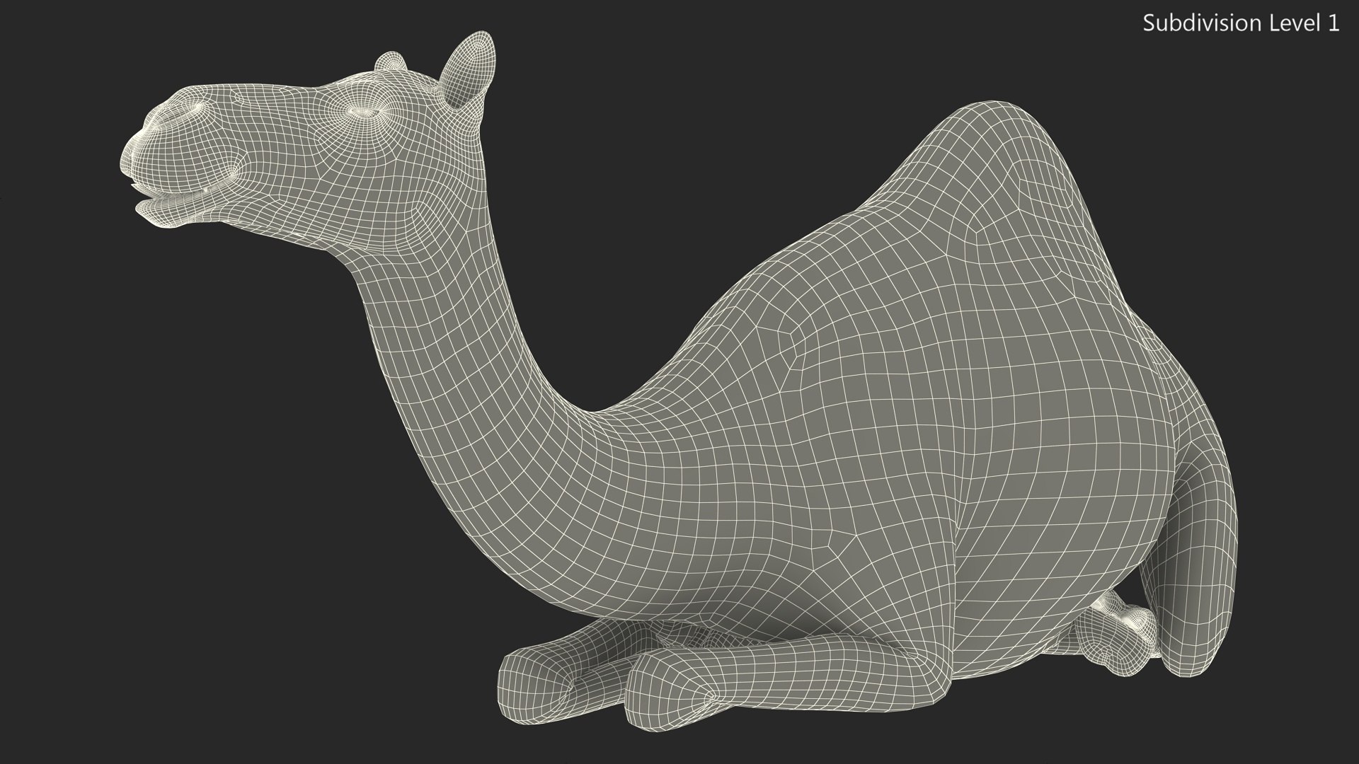Resting Camel with Fur 3D model https://p.turbosquid.com/ts-thumb/OC/LGMrbu/lw/resting_camel_with_fur_016/jpg/1744322369/1920x1080/fit_q87/81d20a042a10a8b187c3fcec4864f05c22e2b25f/resting_camel_with_fur_016.jpg