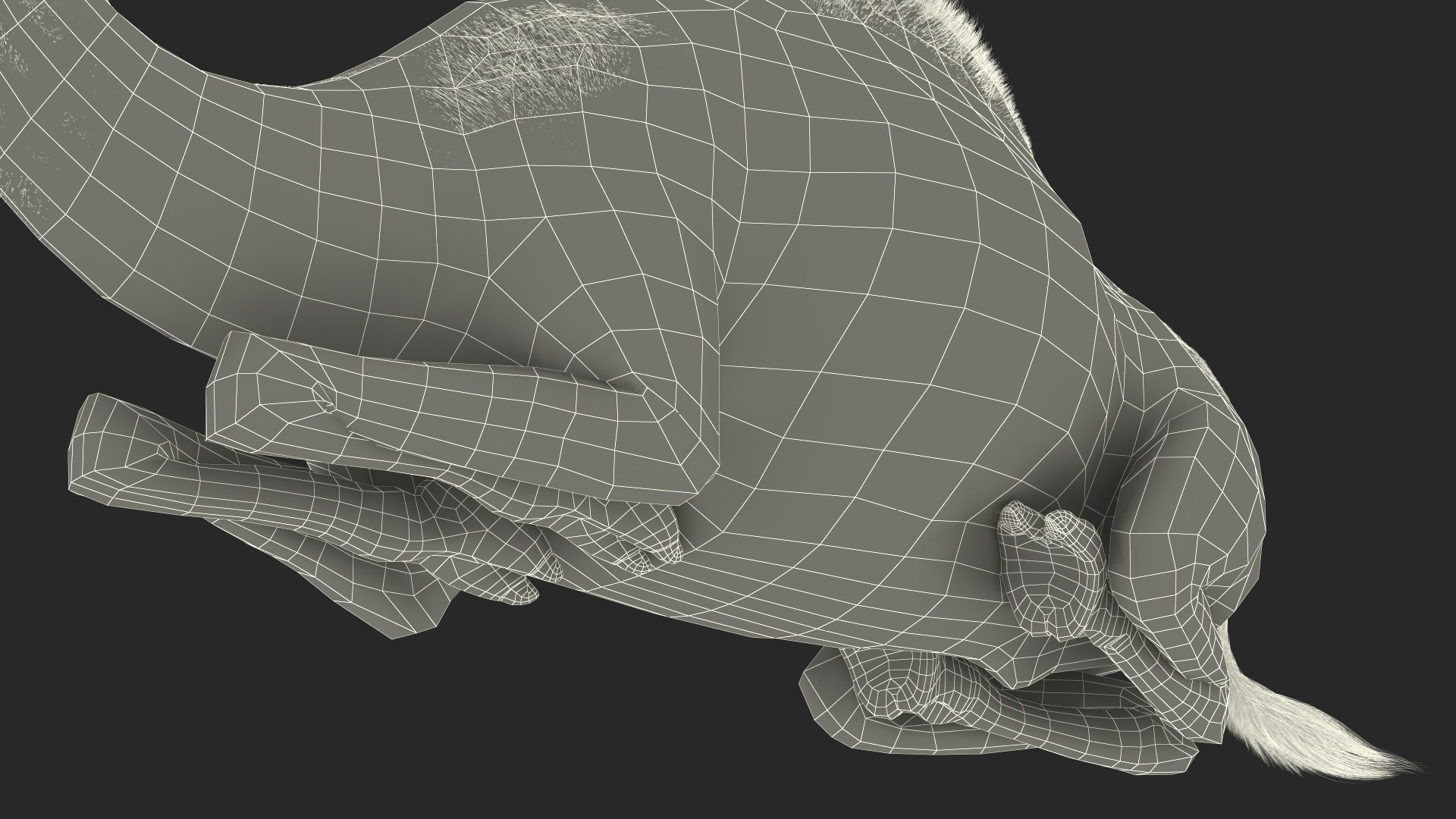 Resting Camel with Fur 3D model https://p.turbosquid.com/ts-thumb/OC/LGMrbu/qM/resting_camel_with_fur_024/jpg/1744322400/1920x1080/fit_q87/f36015b7cac52cebf0a02b254695da4f7cc616e4/resting_camel_with_fur_024.jpg