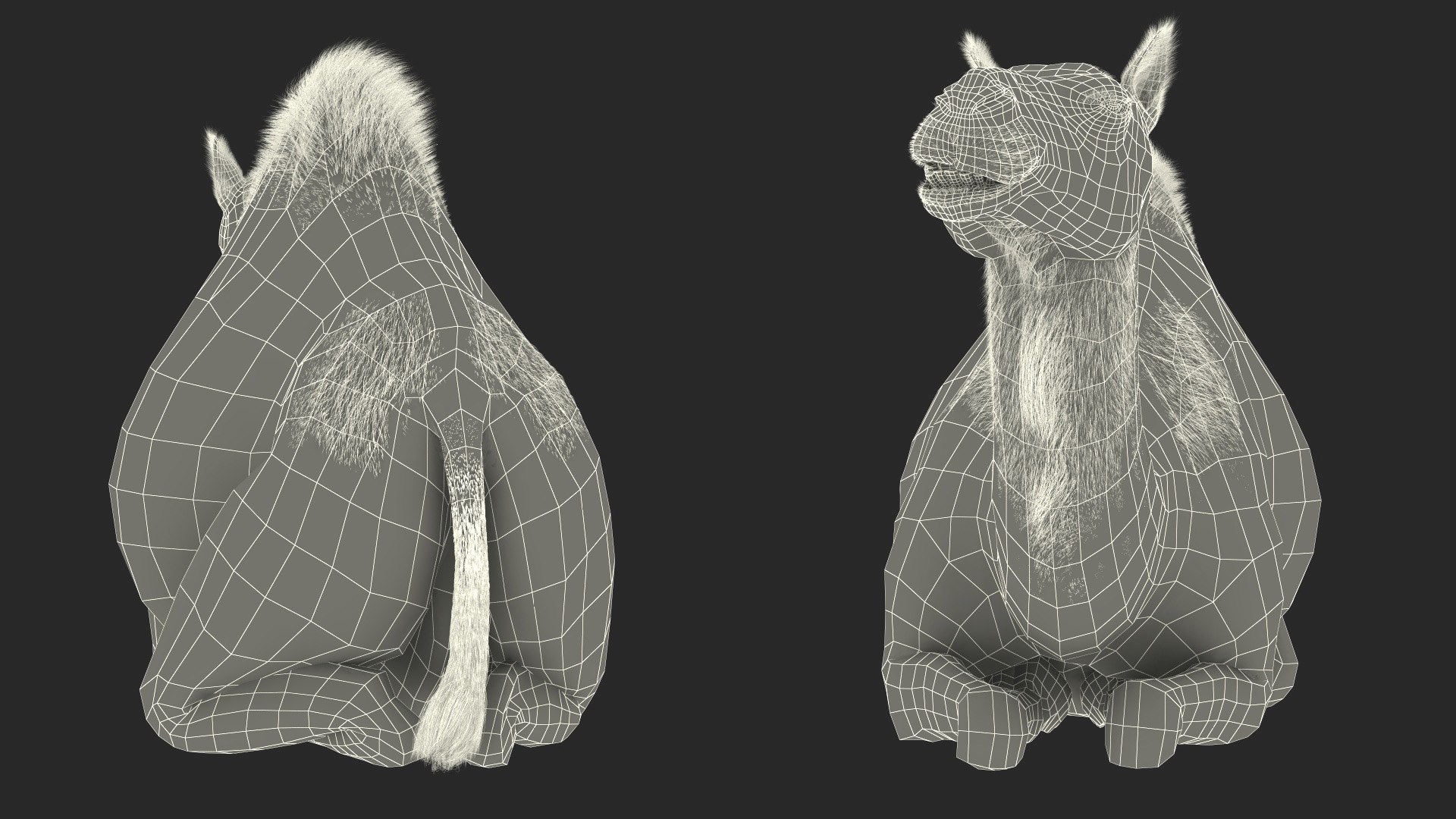 Resting Camel with Fur 3D model https://p.turbosquid.com/ts-thumb/OC/LGMrbu/vx/resting_camel_with_fur_021/jpg/1744322388/1920x1080/fit_q87/507e61886a4260d38e4377304db4c0c6a74a08bd/resting_camel_with_fur_021.jpg
