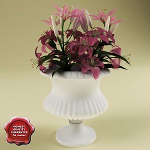 bouquet lilies 3d max