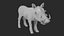 Warthog Rigged and Animated 3D model