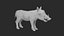 Warthog Rigged and Animated 3D model