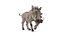 Warthog Rigged and Animated 3D model