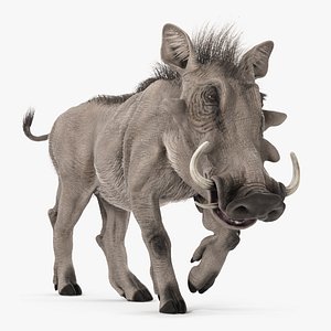 Warthog Rigged and Animated 3D model