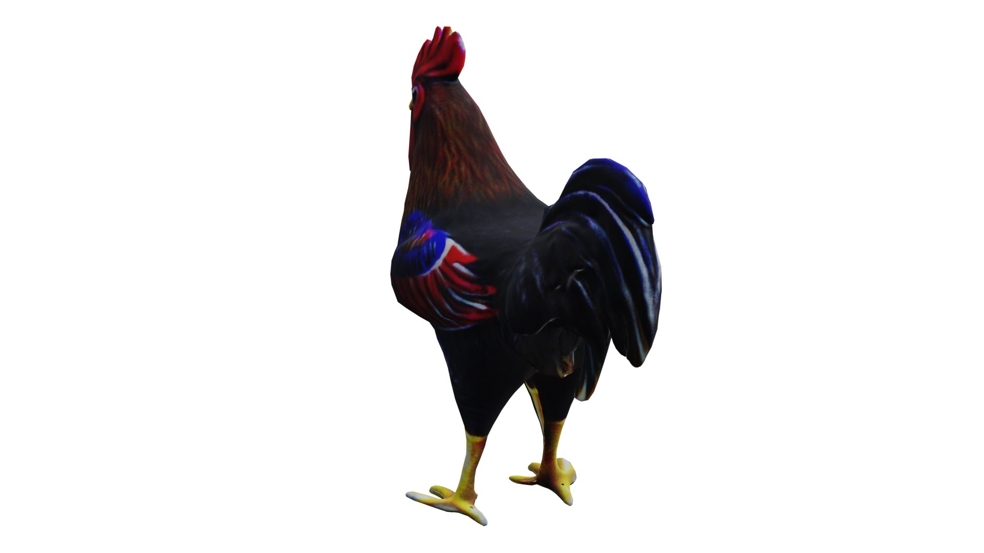 3D Rooster low poly PBR https://p.turbosquid.com/ts-thumb/OC/fe5MGq/KQ/7/png/1710876019/1920x1080/fit_q87/2b0045b76a447d425d578ca048ac91ab6b42d994/7.jpg
