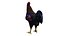 Gallo low poly PBR