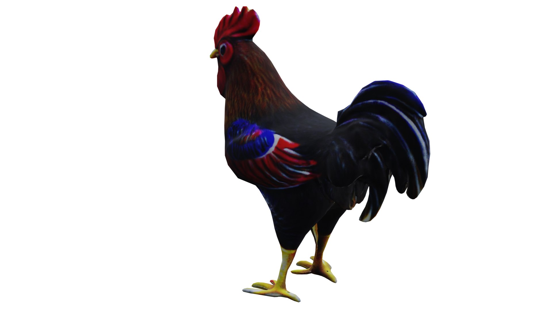 3D Rooster low poly PBR https://p.turbosquid.com/ts-thumb/OC/fe5MGq/Tl/6/png/1710876009/1920x1080/fit_q87/70fbff28674b29b6669601cca4d4db4e05ff6542/6.jpg