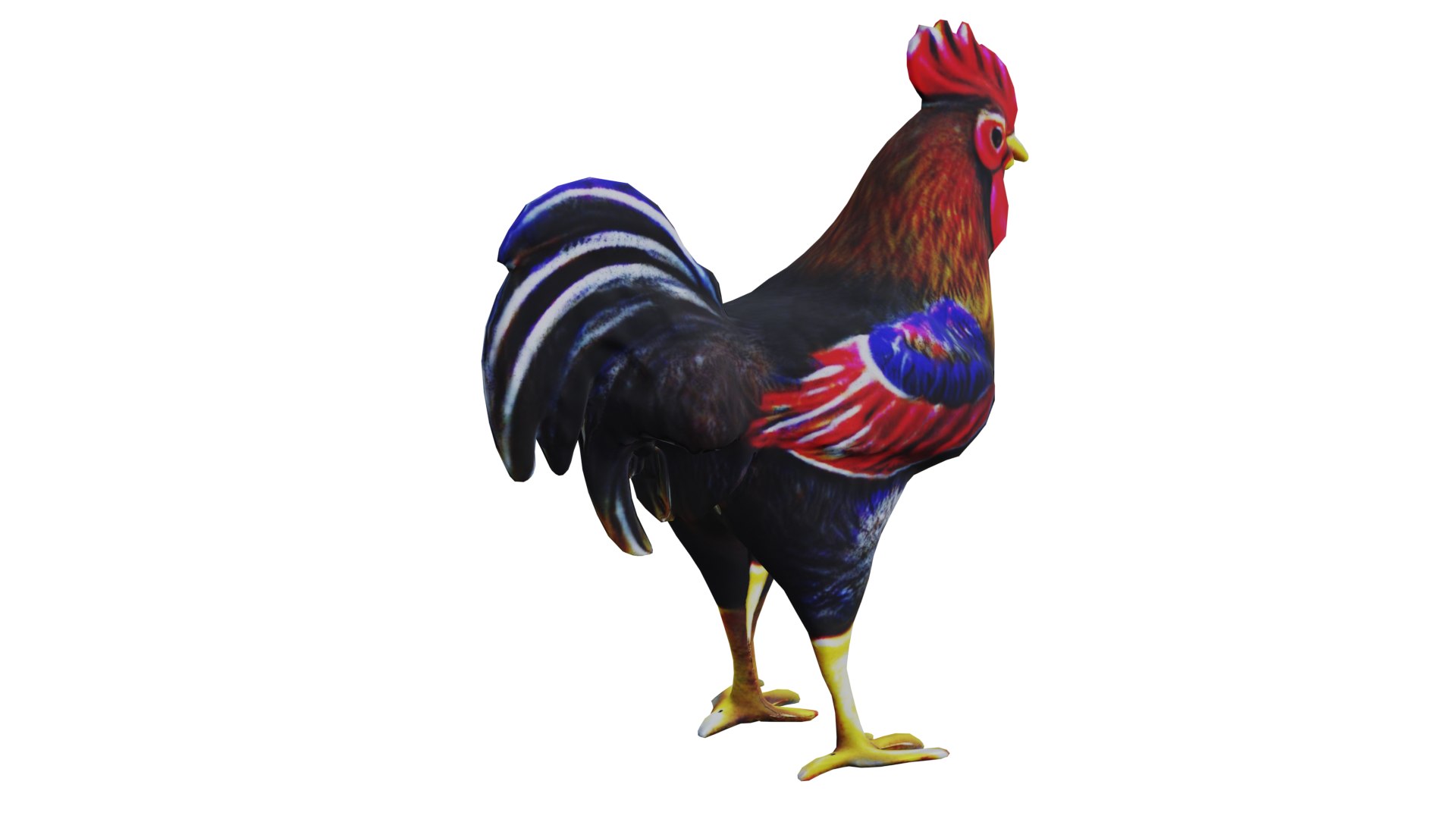 3D Rooster low poly PBR https://p.turbosquid.com/ts-thumb/OC/fe5MGq/jH/10/png/1710876014/1920x1080/fit_q87/cef15317359408f935de73664fd0b4fc655c6062/10.jpg