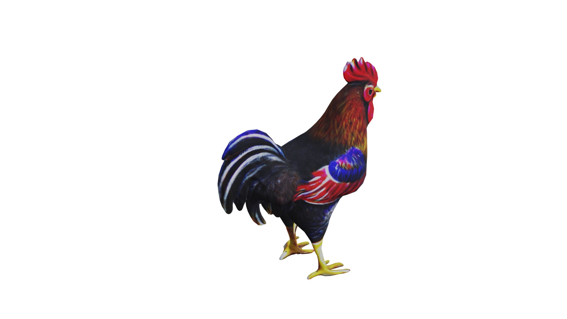 3D Rooster low poly PBR https://p.turbosquid.com/ts-thumb/OC/fe5MGq/mw/11/png/1710876017/1920x1080/fit_q87/5083b15e424934ef99a7a2d0904e65b07995c2ee/11.jpg