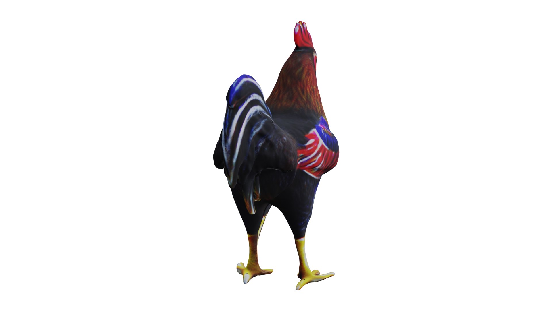 3D Rooster low poly PBR https://p.turbosquid.com/ts-thumb/OC/fe5MGq/p6/9/png/1710876014/1920x1080/fit_q87/a705a7960de16799b4a94bee4a8779bc6cd39be1/9.jpg