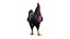Gallo low poly PBR