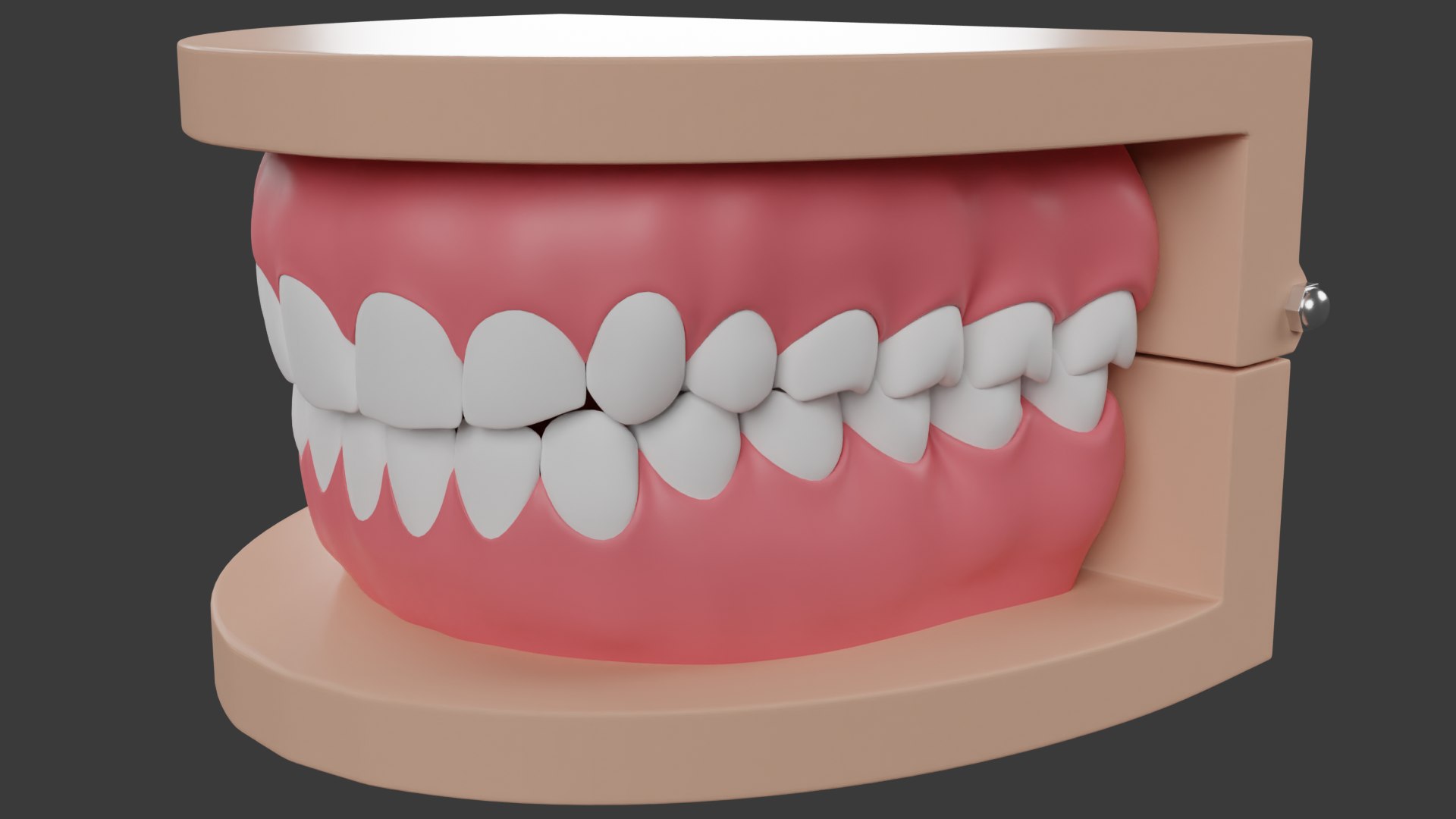 Dental Typodont Teeth 3D - TurboSquid 2225786