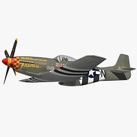 P51 Mustang Frenesi