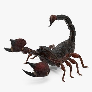 3D Walking Scorpion Fur Animated Rigged for Maya