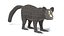 3D Low Poly Cartoon Aye-Aye Lemur