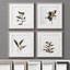 Picture Frames Set-279