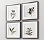 Picture Frames Set-279