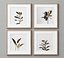 Picture Frames Set-279