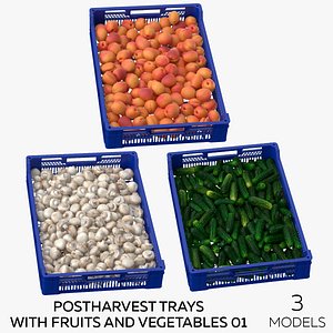 Postharvest Trays with Fruits and Vegetables 01 - 3 models