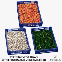Postharvest Trays with Fruits and Vegetables 01 - 3 models