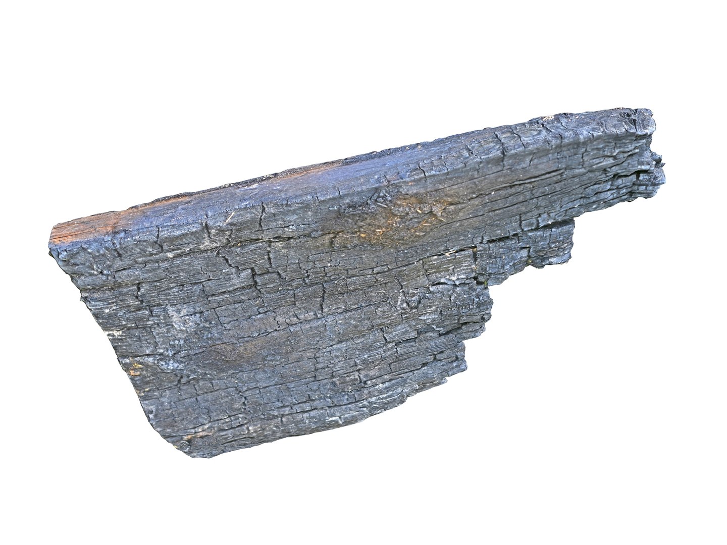burned tree branch 8k model https://p.turbosquid.com/ts-thumb/OD/P7YES5/3a3DMWNA/897899/jpg/1592556176/1920x1080/fit_q87/89d8ae6ba4cf732f6af3f0634a542fac497725ff/897899.jpg