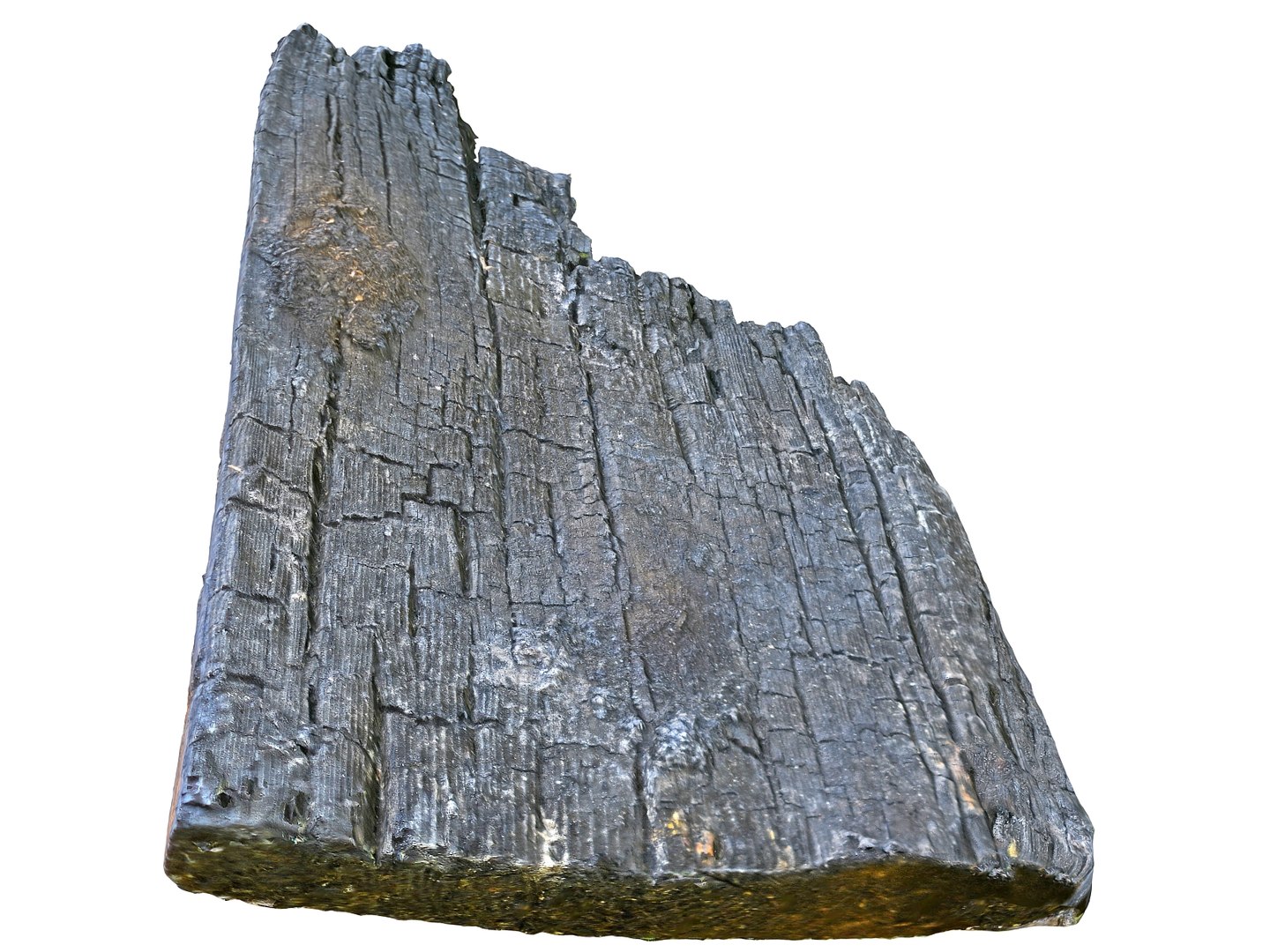 burned tree branch 8k model https://p.turbosquid.com/ts-thumb/OD/P7YES5/8UxWqP3P/989000/jpg/1592556176/1920x1080/fit_q87/5ce442fcf8750a324d7600c606e6d42223e85b92/989000.jpg