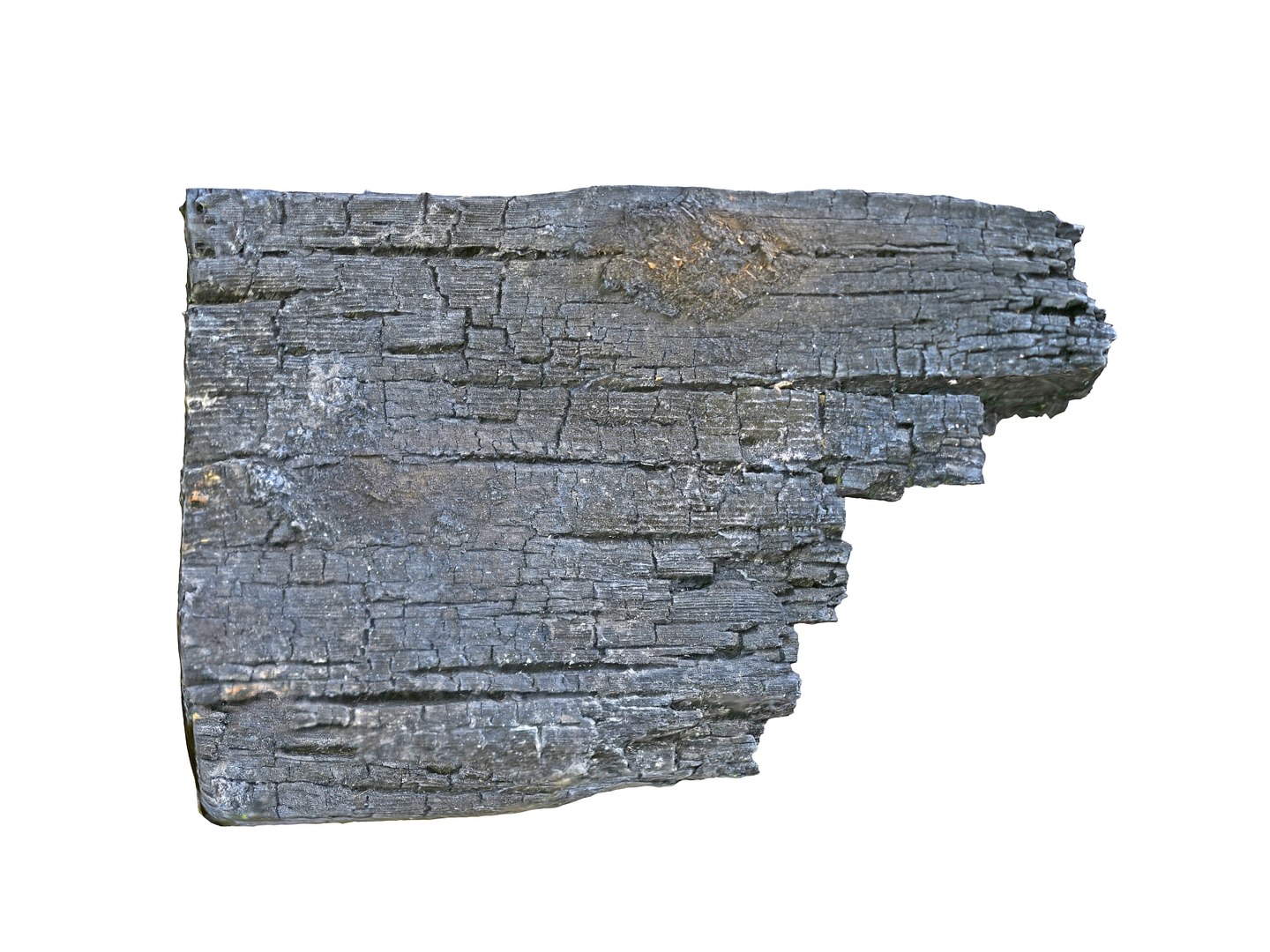 burned tree branch 8k model https://p.turbosquid.com/ts-thumb/OD/P7YES5/AetbPkAM/990890/jpg/1592556176/1920x1080/fit_q87/0914a48065272a62ef4721205c42d4966c0ec501/990890.jpg