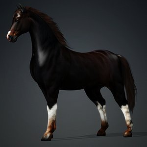Horse-A1 3D model