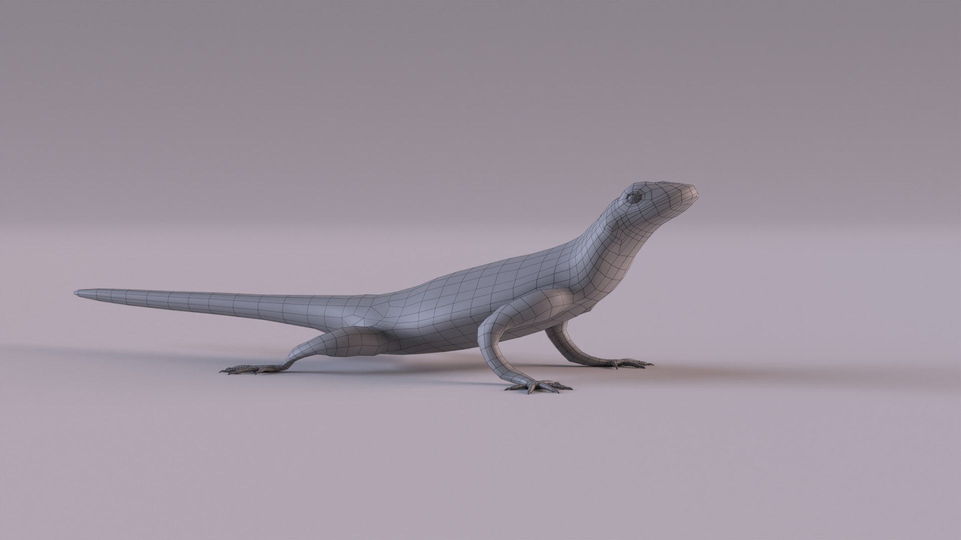 3D Rock Agama Lizard Model - TurboSquid 1901539
